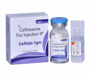 CEFILAB-1GM