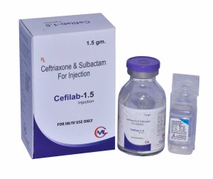 CEFILAB-1.5